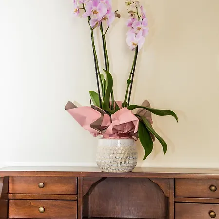 La Borgata Bed & Breakfast Syracuse